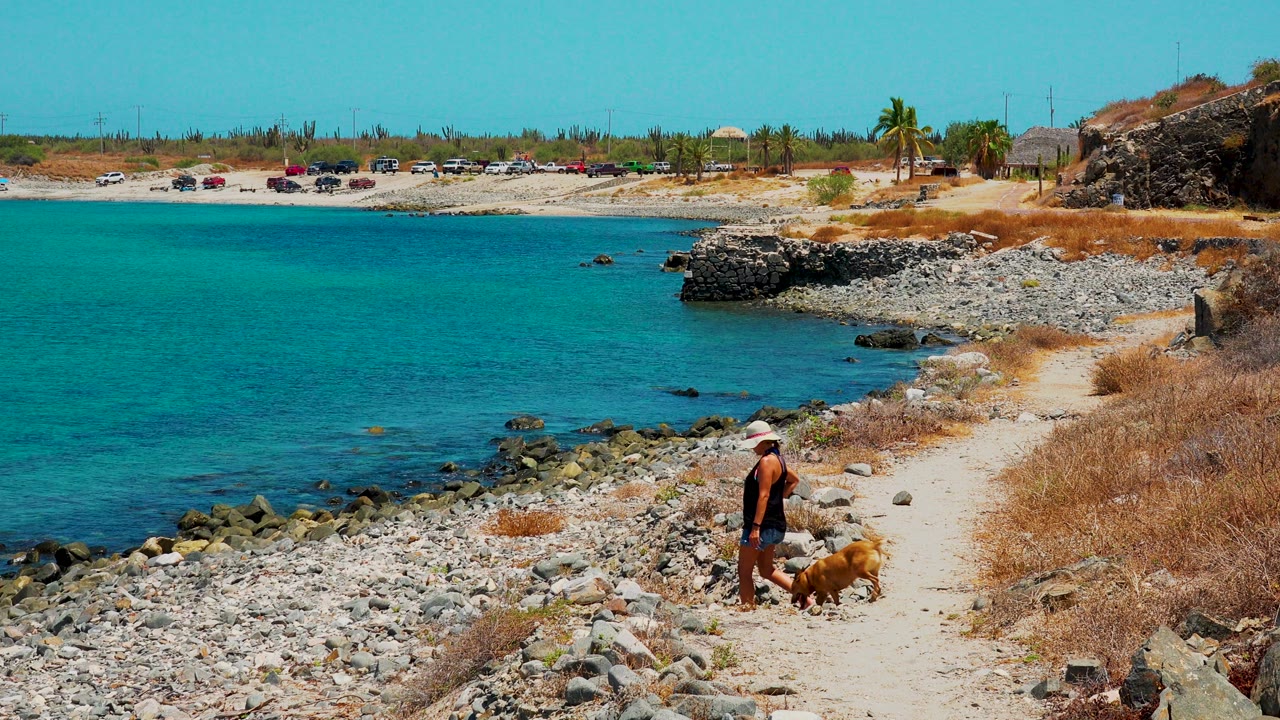 Person and dog continue along the shoreline path near scattered rocks.