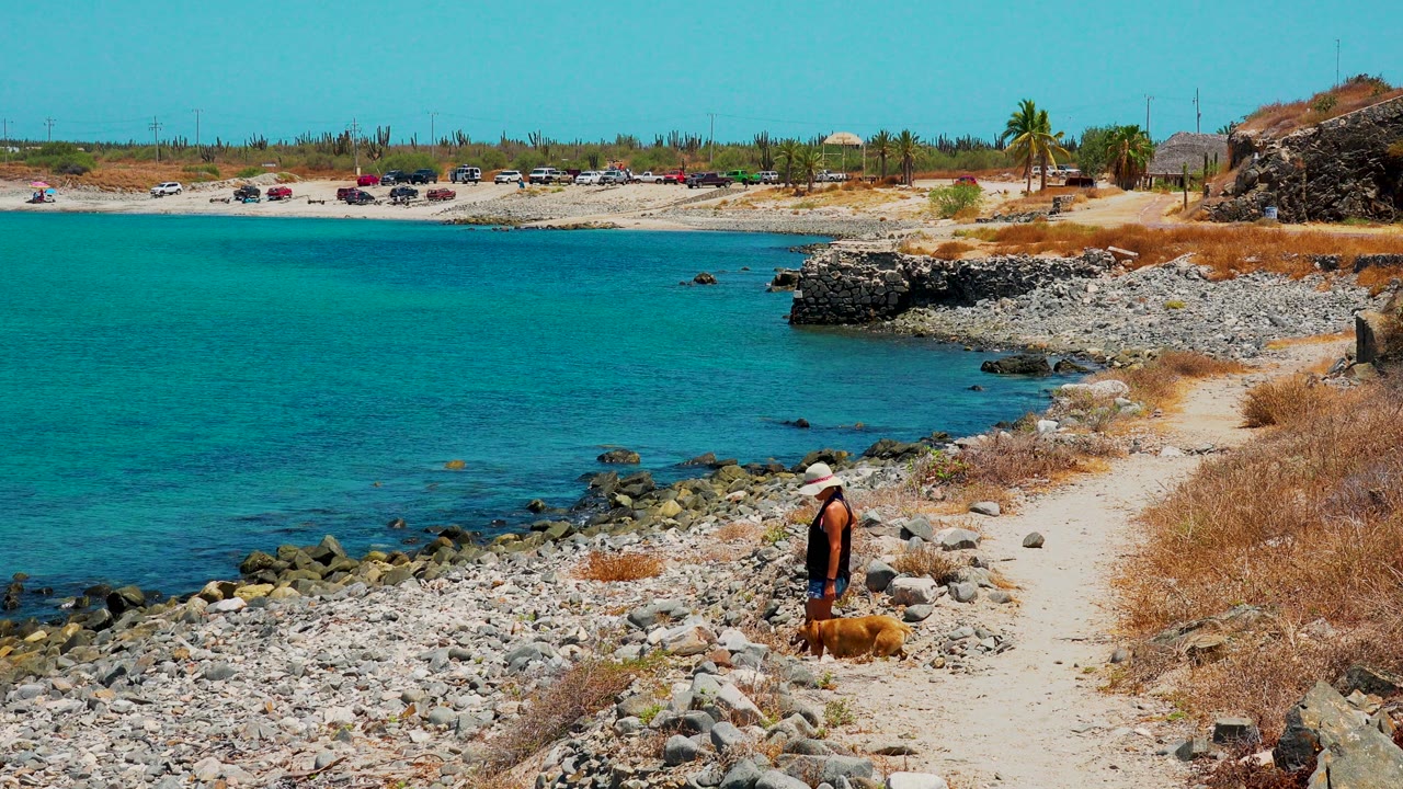 In El Sargento La Ventana Mexico, the person and dog are lower on the path near larger stones, with parked vehicles and palm trees visible across the small bay.