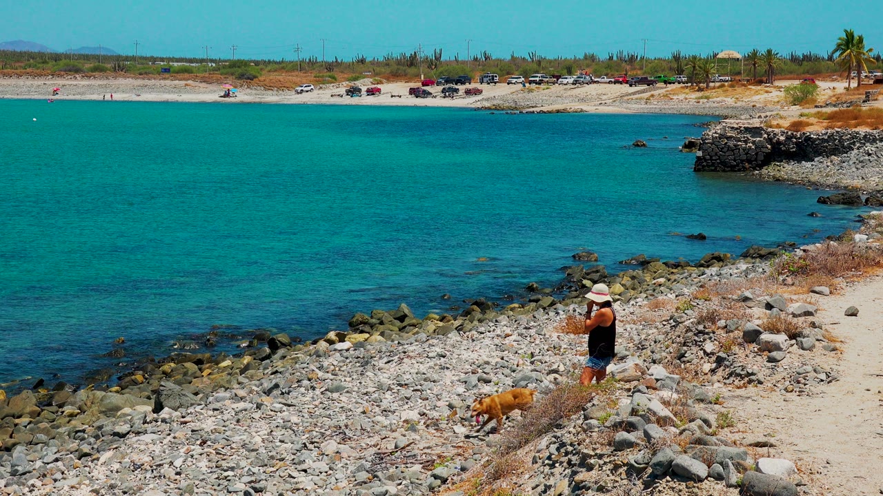 A tan dog appears on the rocky shore near the standing person at El Sargento La Ventana Mexico, with turquoise water and a low sandy background beyond.