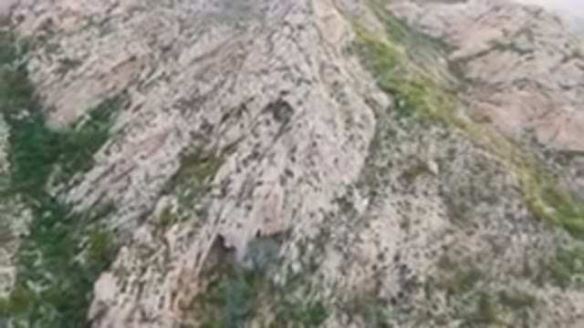CABO PULMO BCS MEXICO-2024: Bird Flying Over Mountain Side