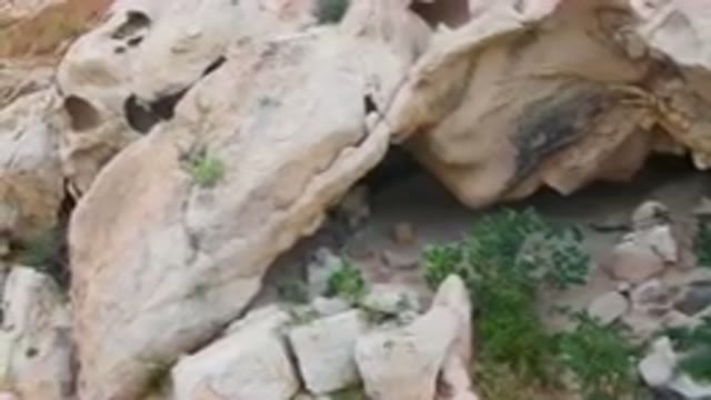 CABO PULMO BCS MEXICO-2024: Large Rock Formation With A Small Tree Growing Out