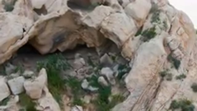 CABO PULMO BCS MEXICO-2024: Large Rock Formation With A Small Tree Growing Out