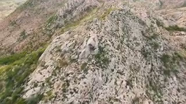 CABO PULMO BCS MEXICO-2024: Bird Perched On A Rock In The Mountains