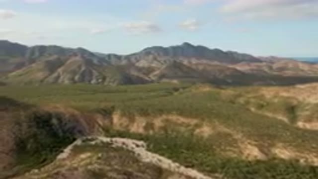 CABO PULMO BCS MEXICO-2024: Aerial View of Winding Road Through Arid Mountains and Palm Forest