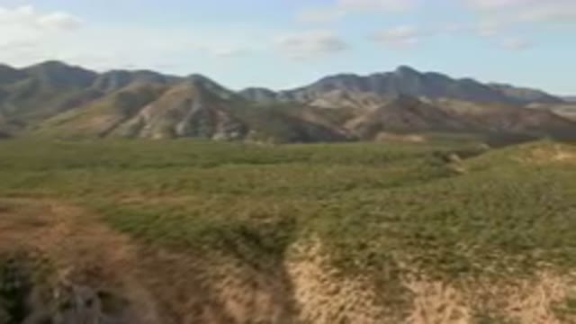 CABO PULMO BCS MEXICO-2024: Mountains With A Few Trees And Bushes In The
