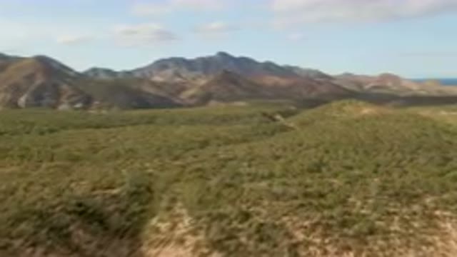 CABO PULMO BCS MEXICO-2024: Mountains In The Distance With A Few Trees And Bushes