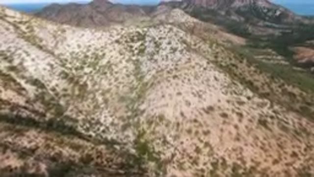 CABO PULMO BCS MEXICO-2024: Aerial View of Arid Mountains and Palm Forest with Plane Flying Over
