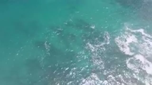 LAGUNA BEACH EAST CAPE BCS MEXICO-2023: Flying Over The Ocean With A Surfboard
