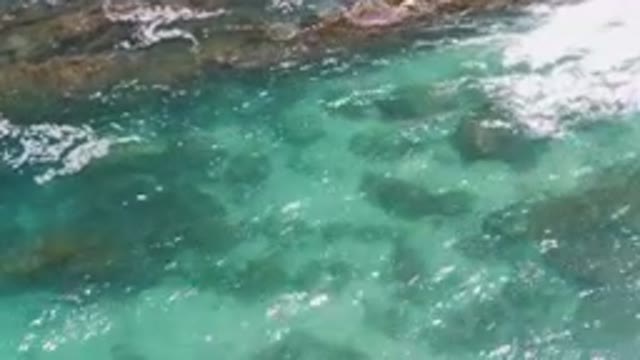 LAGUNA BEACH EAST CAPE BCS MEXICO-2023: Swimming In The Clear Blue Water