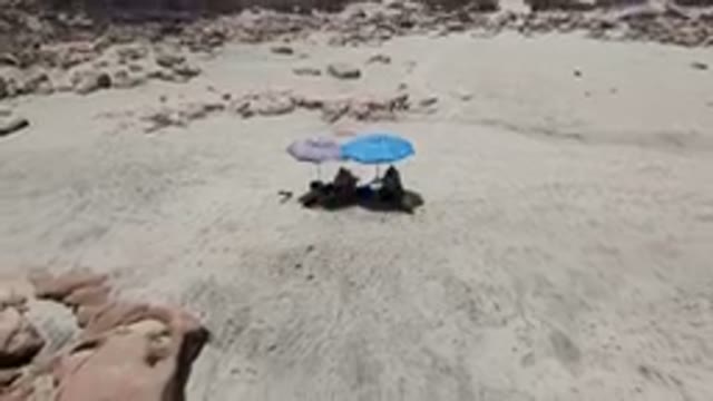 LAGUNA BEACH EAST CAPE BCS MEXICO-2023: Two People Sitting Under An Umbrella