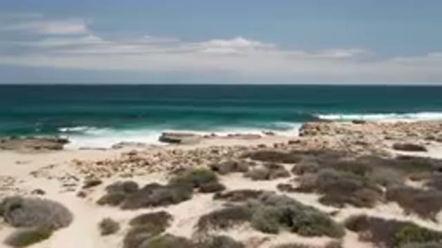 LAGUNA BEACH EAST CAPE BCS MEXICO-2023: Man Standing On A Beach With A Surfboard