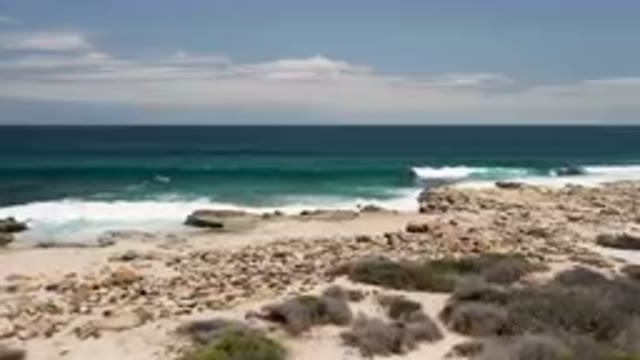LAGUNA BEACH EAST CAPE BCS MEXICO-2023: Man Standing On A Rocky Beach Looking At