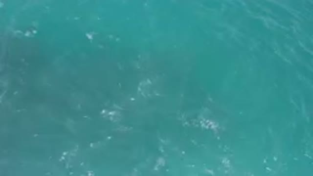 LAGUNA BEACH EAST CAPE BCS MEXICO-2023: Man Riding A Surfboard On The Ocean