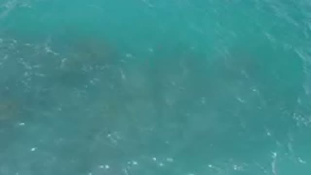 LAGUNA BEACH EAST CAPE BCS MEXICO-2023: Man Riding A Surfboard On The Ocean