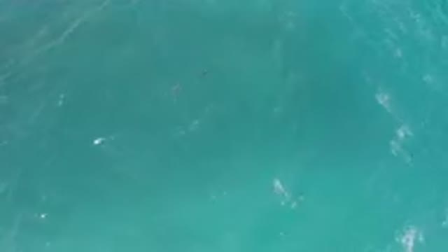 LAGUNA BEACH EAST CAPE BCS MEXICO-2023: Two People In The Water With Surfboards