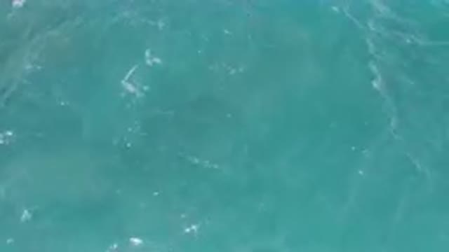 LAGUNA BEACH EAST CAPE BCS MEXICO-2023: Two People In A Boat In The Water