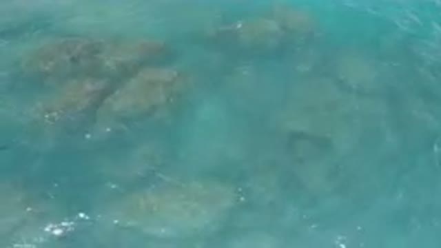 LAGUNA BEACH EAST CAPE BCS MEXICO-2023: Man Standing On A Surfboard In Turquoise Waters