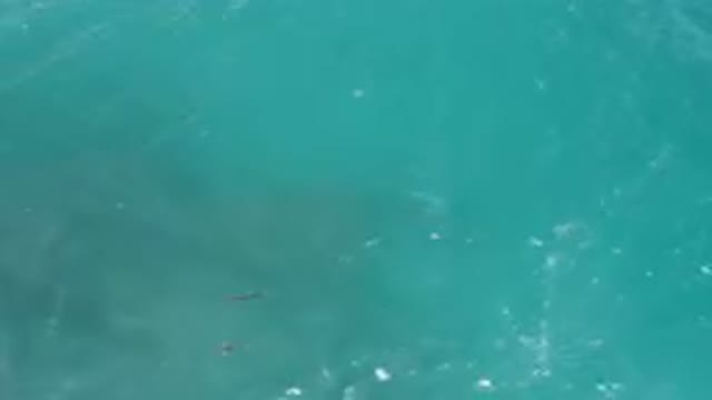 LAGUNA BEACH EAST CAPE BCS MEXICO-2023: Two People In The Water With A Surfboard