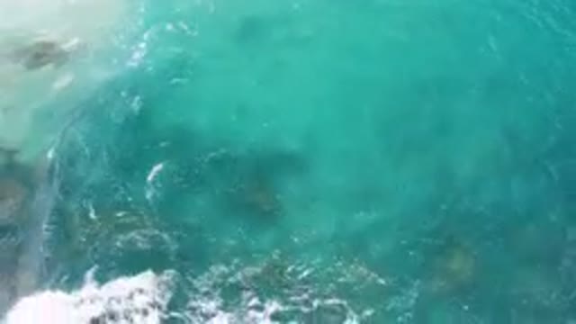 LAGUNA BEACH EAST CAPE BCS MEXICO-2023: In The Water With A Surfboard On The