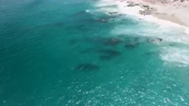LAGUNA BEACH EAST CAPE BCS MEXICO-2023: Aerial View of Turquoise Ocean and Sandy Shoreline
