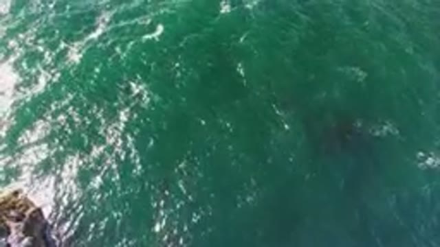 BAHIA ASCUNCION BCS MEXICO-2023: Man Riding A Surfboard On The Ocean Waves