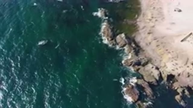 BAHIA ASCUNCION BCS MEXICO-2023: Flying Over The Water Near A Beach And A
