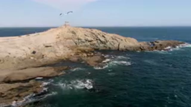 BAHIA ASCUNCION BCS MEXICO-2023: Bird Flying Over The Water Near A Rocky Cliff