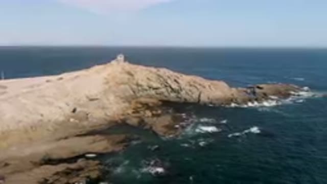 BAHIA ASCUNCION BCS MEXICO-2023: Bird Flying Over A Rocky Cliff Near The Ocean