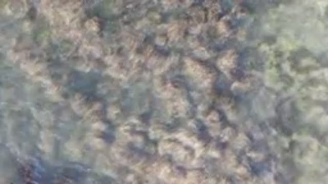 BAHIA ASCUNCION BCS MEXICO-2023: Surfboard Gliding Over Calm Waters From Above