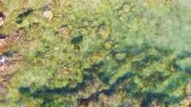 BAHIA ASCUNCION BCS MEXICO-2023: Aerial Body Of Water With A Rock And A Boat