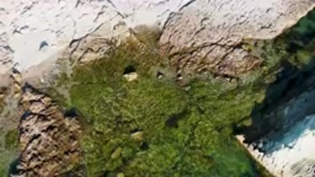 BAHIA ASCUNCION BCS MEXICO-2023: Aerial Rock With A Green Patch Of Algae