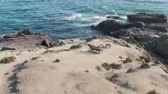 BAHIA ASCUNCION BCS MEXICO-2023: Beach With Two Chairs And A Table On It