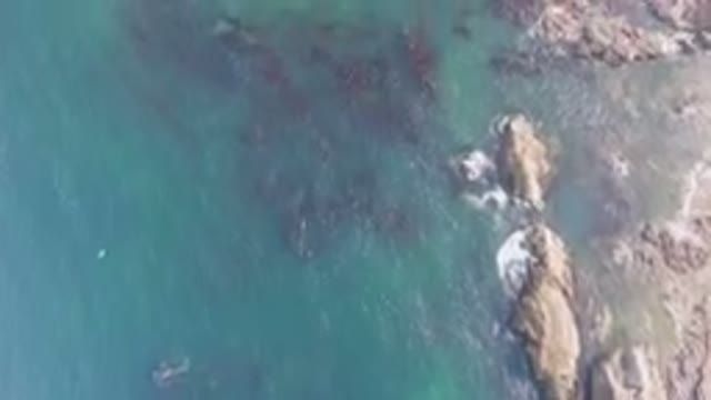 BAHIA ASCUNCION BCS MEXICO-2023: Bird's Eye View of Water and Rocks