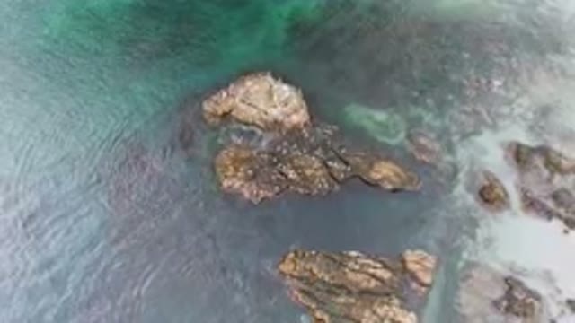 BAHIA ASCUNCION BCS MEXICO-2023: Two Birds Sitting On The Rocks In The Water