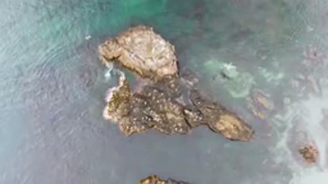 BAHIA ASCUNCION BCS MEXICO-2023: Two Birds Flying Over the Water