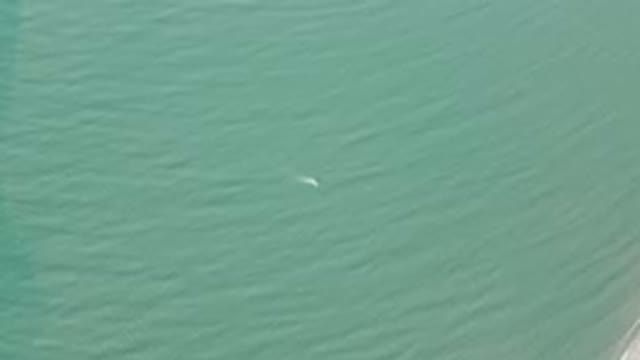 SAN FELIPE BC MEXICO-2023: Flying Over The Ocean With A Kite In The Sky