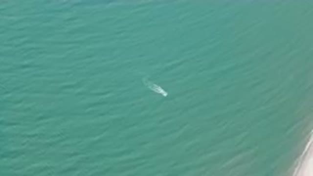 SAN FELIPE BC MEXICO-2023: Small Boat Floating In The Water Near A Beach