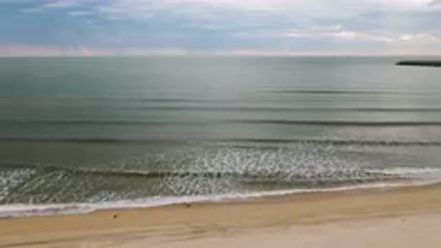SAN FELIPE BC MEXICO-2023: Person Walking On The Beach With A Surfboard
