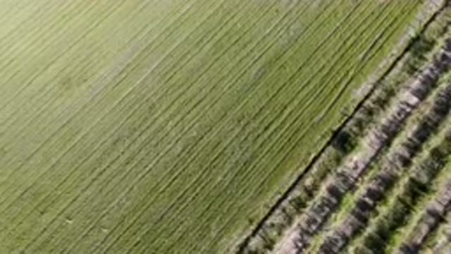 PALISADES COLORADO USA-2023: Aerial View Of Crops And Tractor In Distance