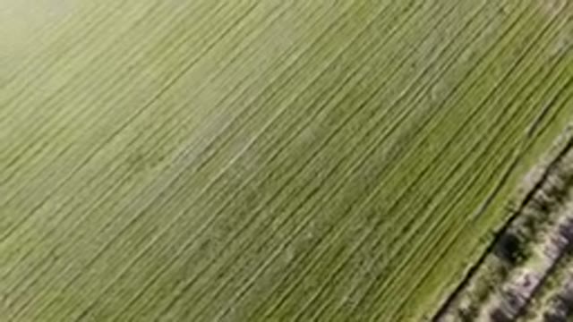 PALISADES COLORADO USA-2023: Aerial View of Green Fields and a Dirt Path