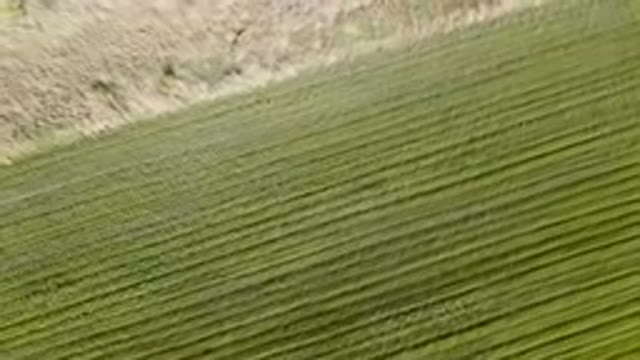 PALISADES COLORADO USA-2023: Aerial Field With A Lone Horse In The Middle