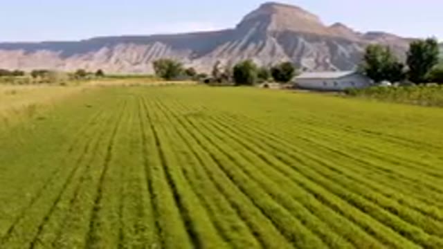 PALISADES COLORADO USA-2023: Field Of Green Grass With A Mountain In The Background