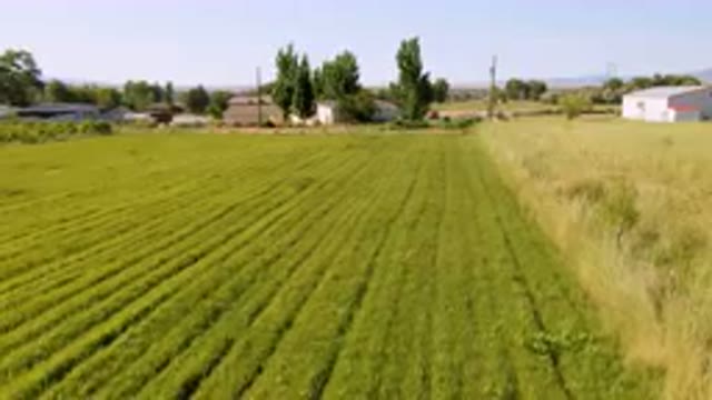 PALISADES COLORADO USA-2023: Field Of Green Grass With A Farm In The Background