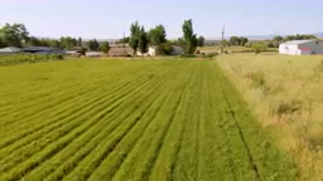 PALISADES COLORADO USA-2023: Field Of Grass With A Small House In The Distance