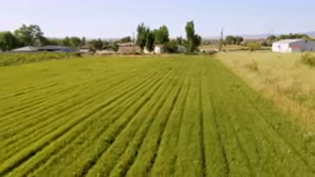 PALISADES COLORADO USA-2023: Field Of Freshly Cut Grass With Houses In The Background