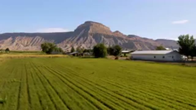 PALISADES COLORADO USA-2023: Field Of Green Grass With A Mountain In The Background