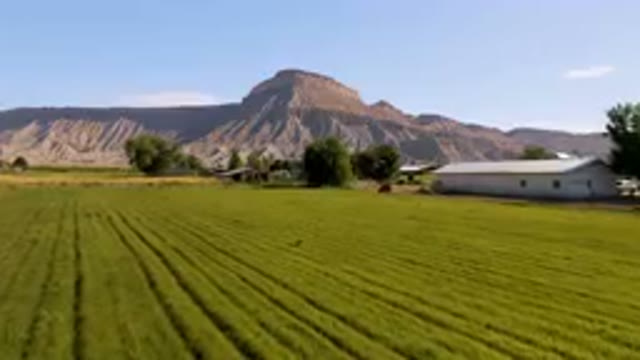 PALISADES COLORADO USA-2023: Field Of Grass With A Mountain In The Background