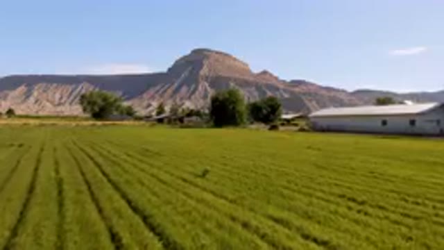 PALISADES COLORADO USA-2023: Field Of Green Grass With A Mountain In The Background