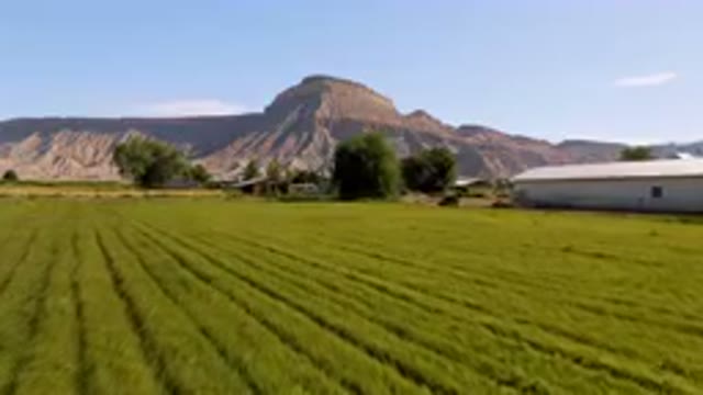 PALISADES COLORADO USA-2023: Field Of Green Grass With A Mountain In The Background