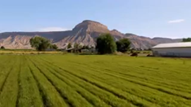 PALISADES COLORADO USA-2023: Field Of Green Grass With A Mountain In The Background